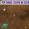 Cl* NGC 2175      H     124