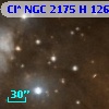 Cl* NGC 2175      H     126