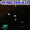 Cl* NGC 2175      H     127