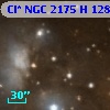 Cl* NGC 2175      H     128