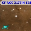 Cl* NGC 2175      H     129