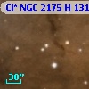 Cl* NGC 2175      H     131