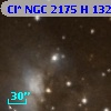 Cl* NGC 2175      H     132
