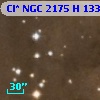 Cl* NGC 2175      H     133