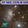 Cl* NGC 2175      H     134