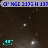 Cl* NGC 2175      H     137