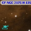 Cl* NGC 2175      H     135