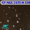 Cl* NGC 2175      H     138