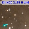Cl* NGC 2175      H     140