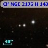 Cl* NGC 2175      H     143