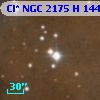 Cl* NGC 2175      H     144