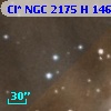 Cl* NGC 2175      H     146