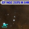 Cl* NGC 2175      H     148