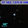 Cl* NGC 2175      H     149
