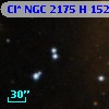 Cl* NGC 2175      H     152