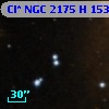 Cl* NGC 2175      H     153