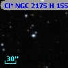 Cl* NGC 2175      H     155
