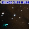 Cl* NGC 2175      H     156
