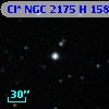 Cl* NGC 2175      H     158