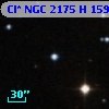 Cl* NGC 2175      H     159