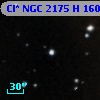 Cl* NGC 2175      H     160