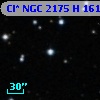 Cl* NGC 2175      H     161