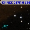 Cl* NGC 2175      H     130