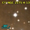 Cl* NGC 2175      H     139