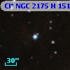 Cl* NGC 2175      H     151