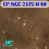 Cl* NGC 2175      H      80