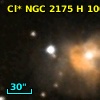 NGC  2175   100