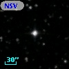 NSV  2798