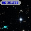 HD 251556
