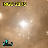 NGC  2175