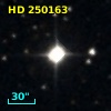 HD 250163