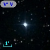V* V1385 Ori