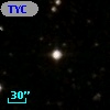 TYC 1317-116-1