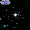 TYC 1317-204-1