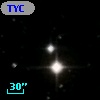 TYC 1317-211-1
