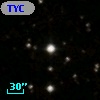 TYC 1317-234-1