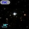TYC 1317-286-1