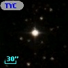 TYC 1317-404-1