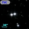 TYC 1317-531-1