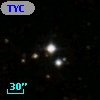 TYC 1317-786-1