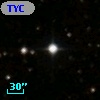 TYC 1317-952-1