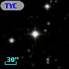 TYC 1317-955-1