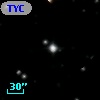 TYC 1317-1101-1