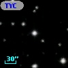 TYC 1318-774-1