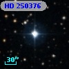 HD 250376