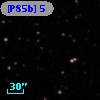 [P85b]  5